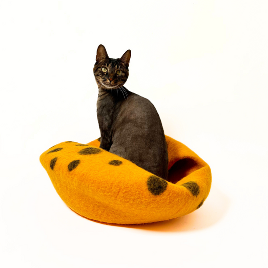 Why Do Cats Love Cat Caves So Much?