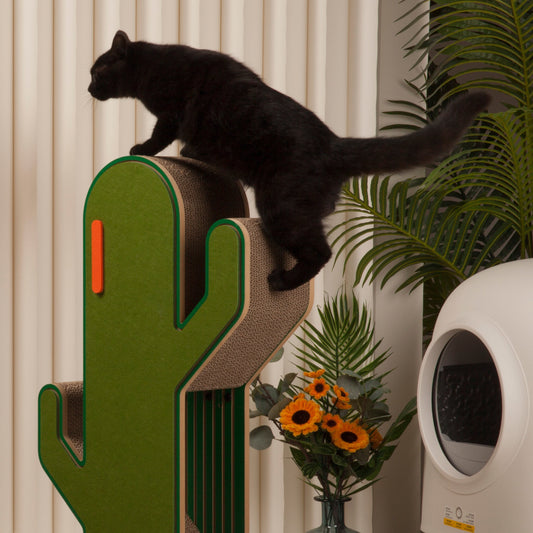 Cactus cat tree with black cat on top