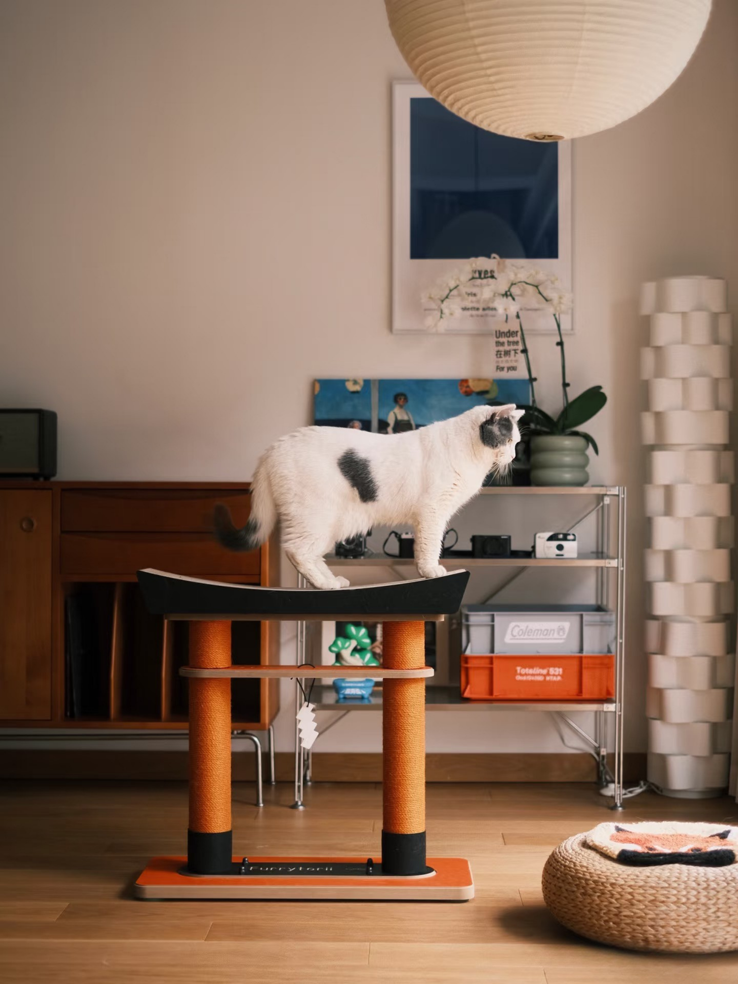 Torii Cat Tree