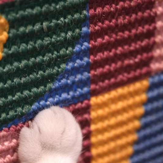 Geomeowtric Cat Scratcher Medium, close up shot with a paw on it