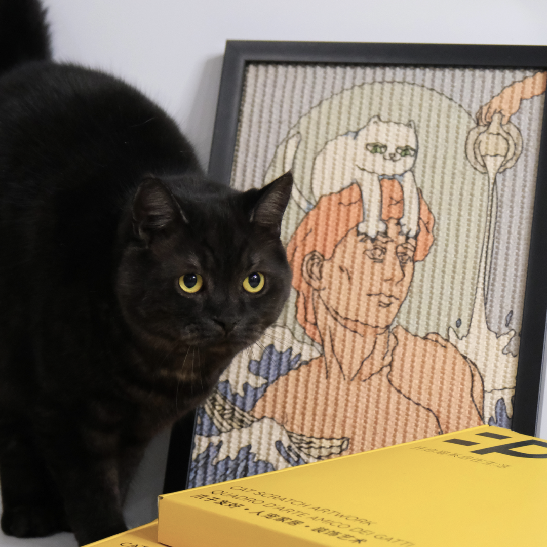 David's Paw Cat Scratcher Medium with a black cat beside it and packaging in front of it