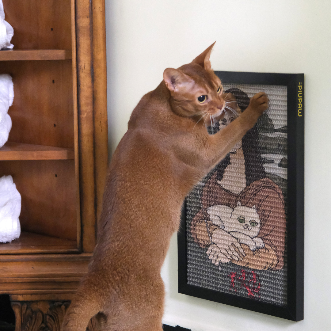 Leonardo Da Claw Cat Scratcher Medium, cat scratching