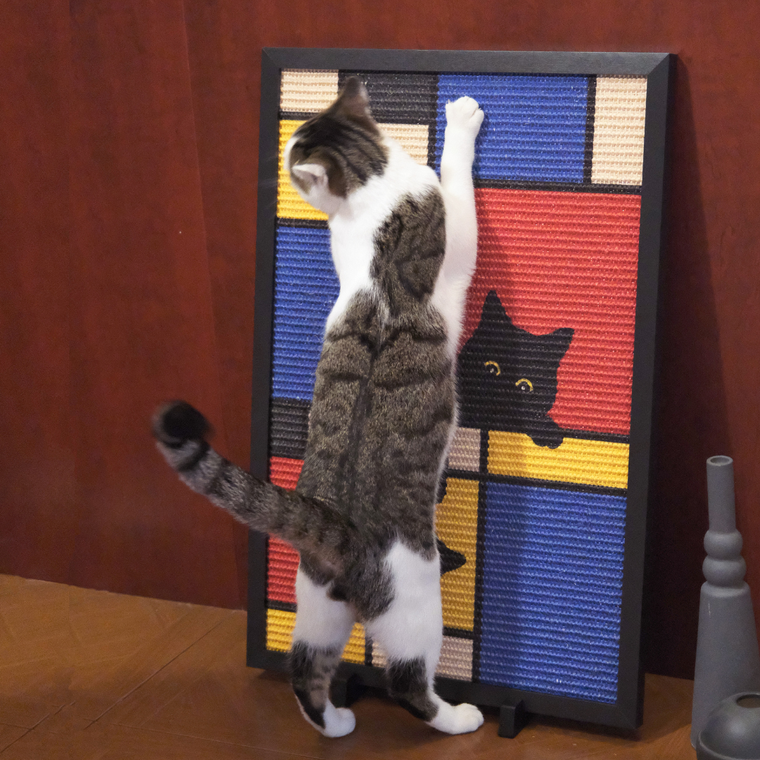 Artistic Scratchers