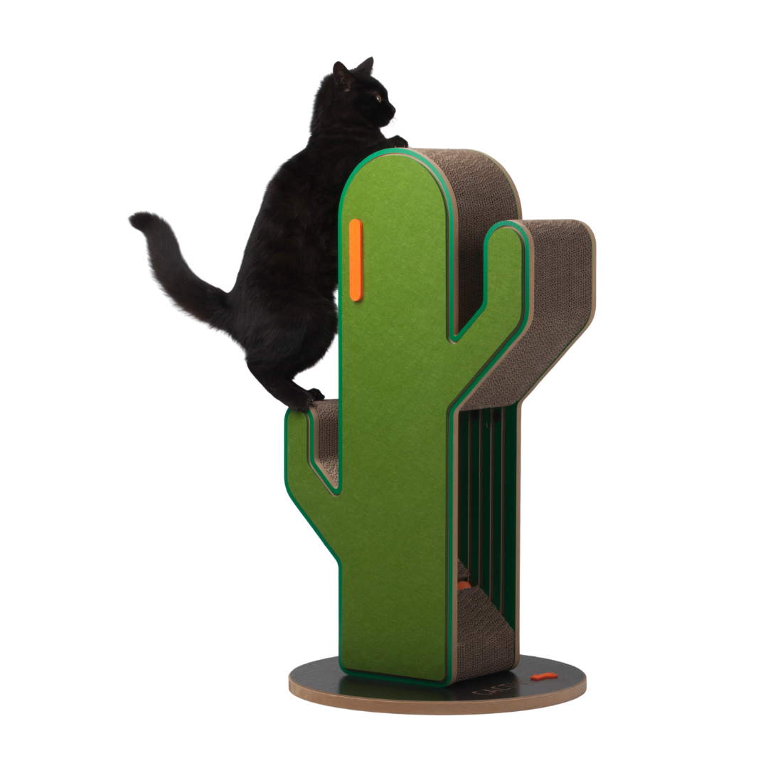 Small Cactus Cat Tree, black cat standing on the left arm of the cactus