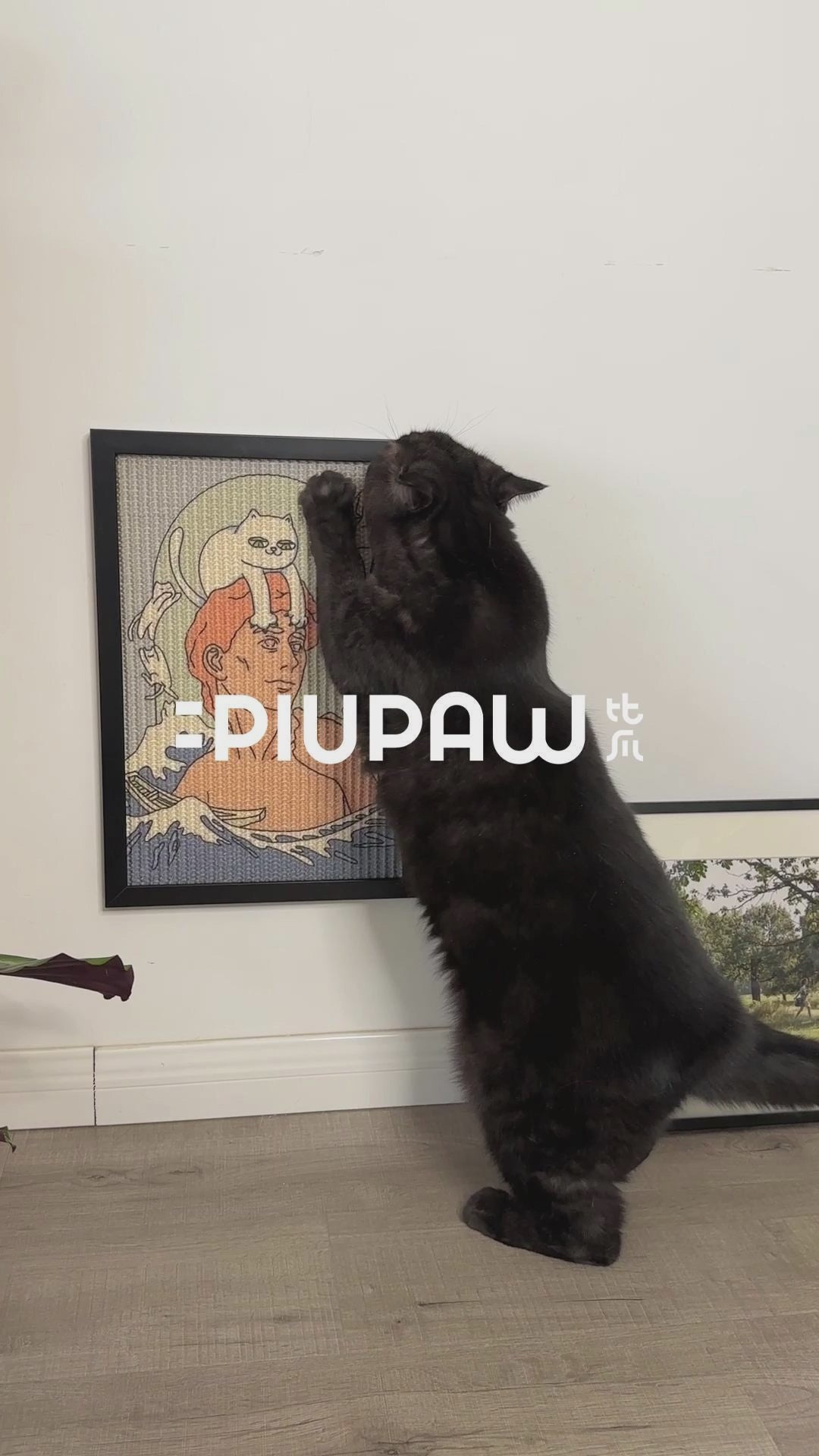 Black cat scratching the David's Paw Cat Scratcher Medium which is stuck to the wall.