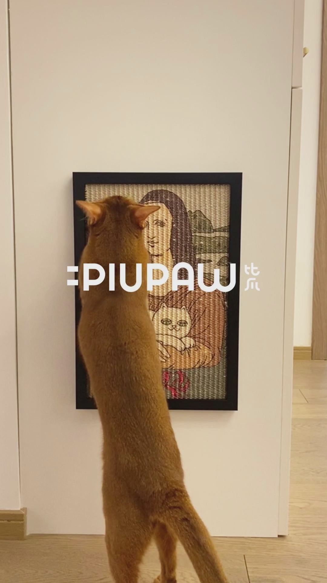 Video of a cat scratching the Leonardo Da Claw Cat Scratcher which is hanging on the wall